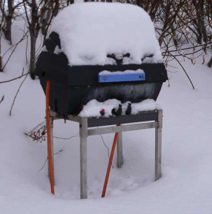 Can You Use A Propane Grill In Cold Weather For Your Grill